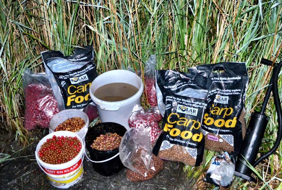 SOLAR - 10054205684992931940532113664935n.jpg